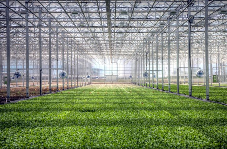 Cox-Backed BrightFarms Feeds America during COVID-19 Pandemic